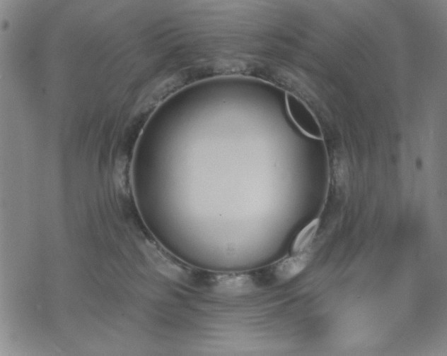 X0000074320185200609011547