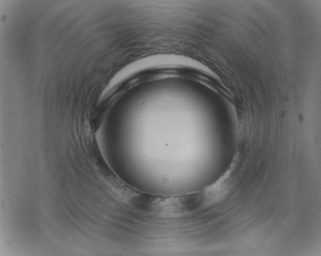 X0000074320186200609011547