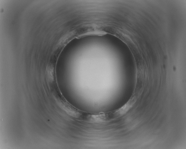 X0000074320188200609011547