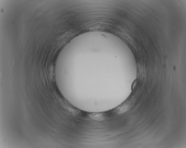 X0000074320189200609011547