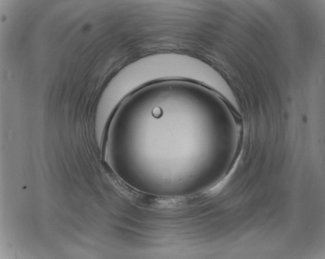 X0000074320190200609011547