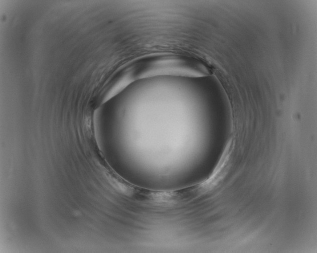 X0000074320192200609011547