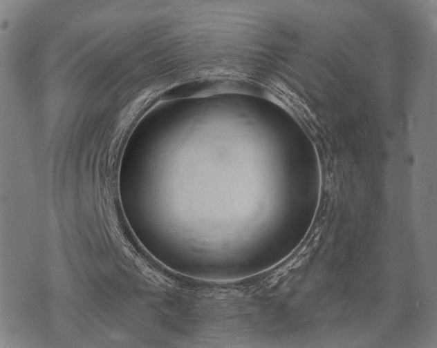 X0000074320193200609011546