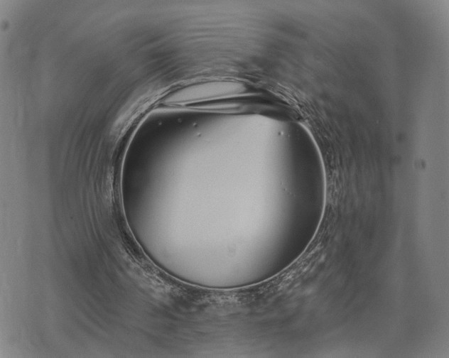 X0000074320194200609011546