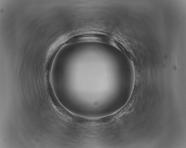 X0000074320197200609011546