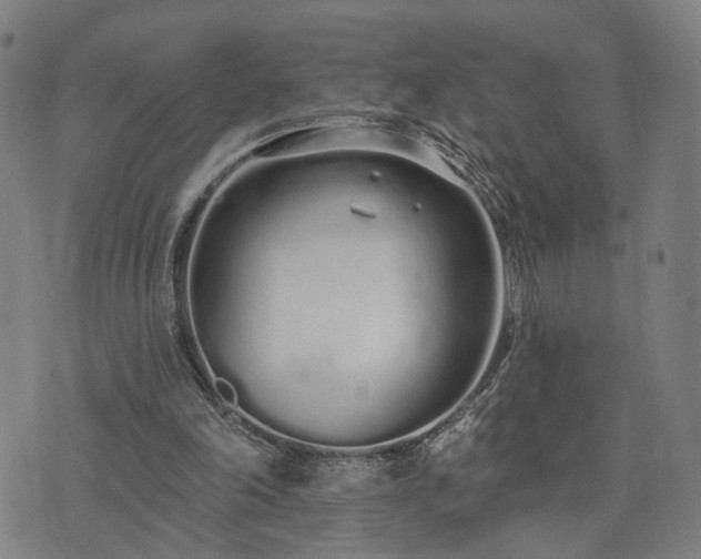 X0000074320198200609011546