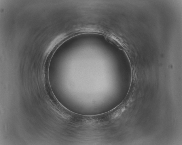 X0000074320199200609011546