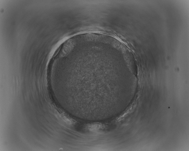 X0000074320200200609011546