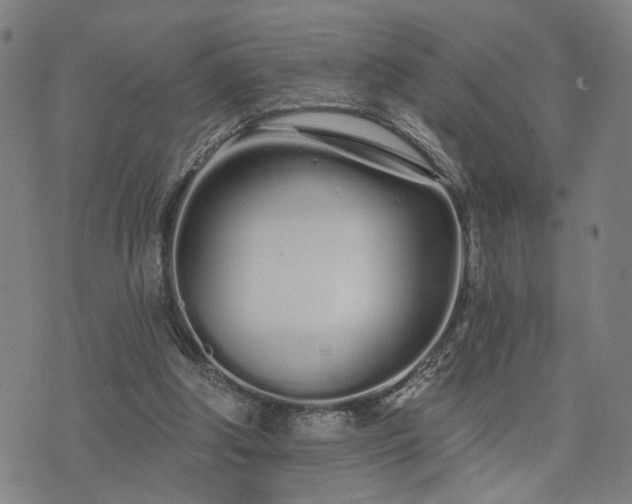 X0000074320202200609011546