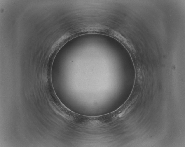 X0000074320203200609011546