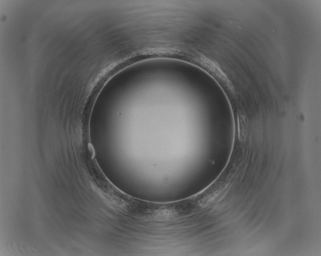 X0000074320204200609011546