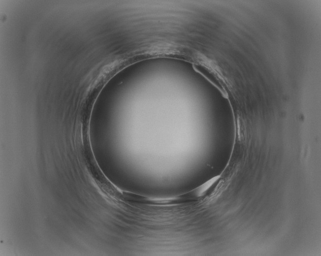 X0000074320205200609011546