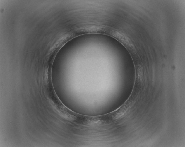 X0000074320206200609011546