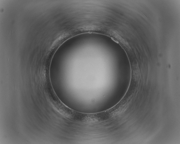 X0000074320207200609011546