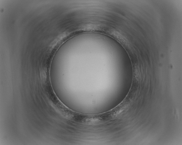 X0000074320208200609011546