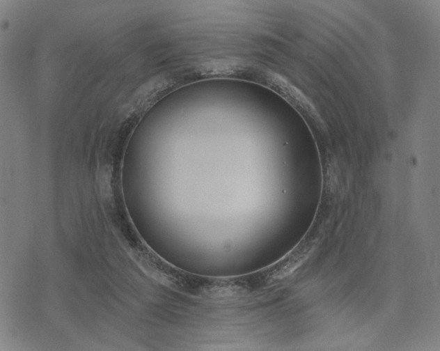 X0000074320209200609011546