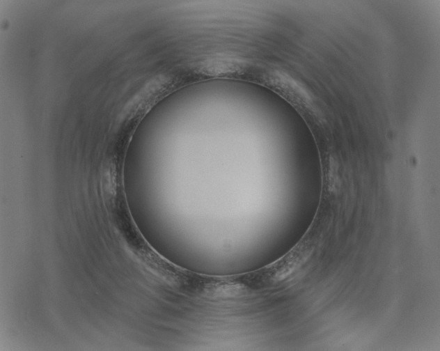 X0000074320210200609011546