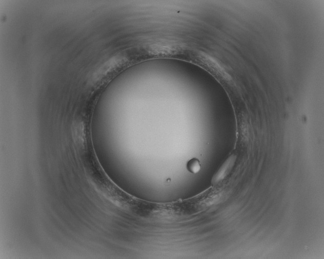 X0000074320211200609011546