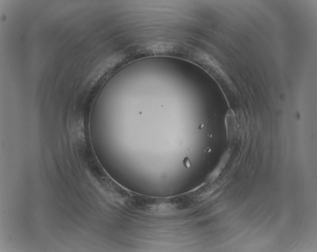 X0000074320212200609011546