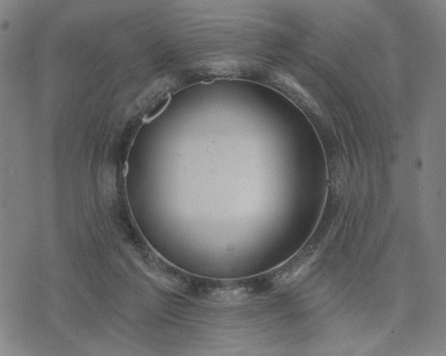 X0000074320213200609011546