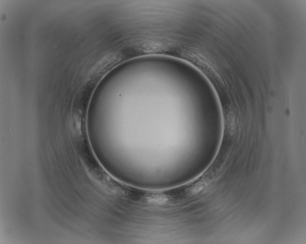 X0000074320214200609011546