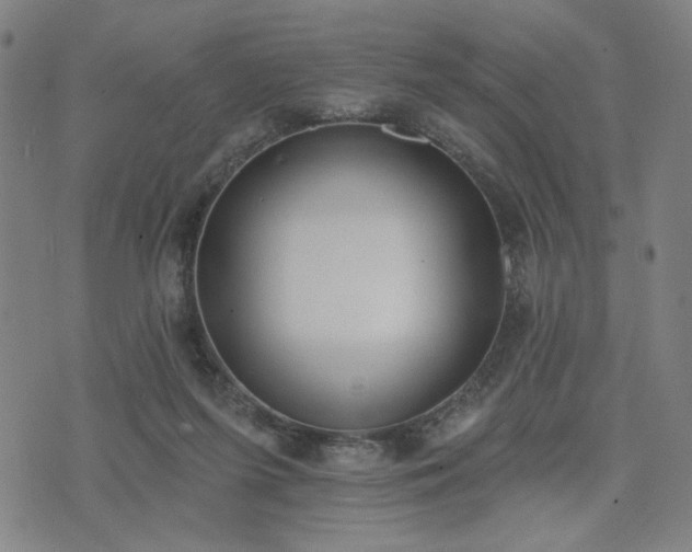 X0000074320215200609011546