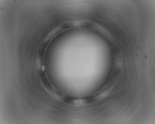 X0000074320216200609011546