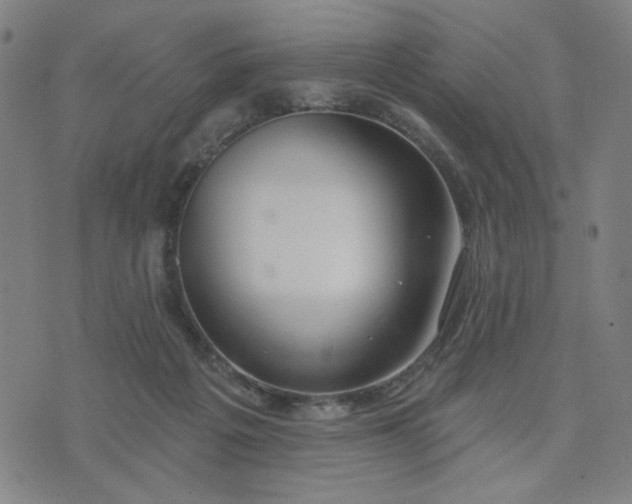 X0000074320217200609011546