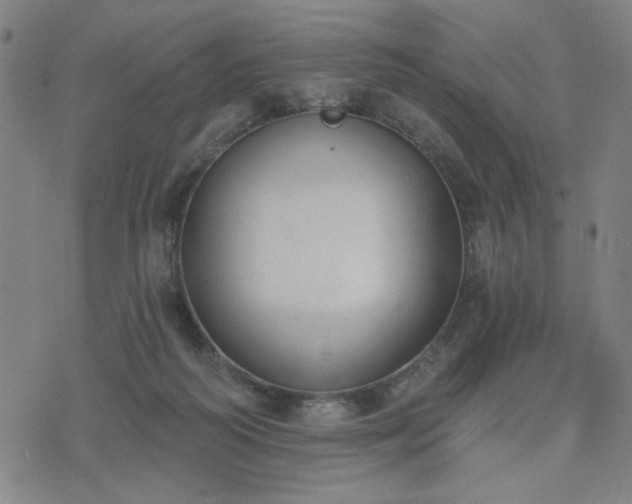 X0000074320218200609011546