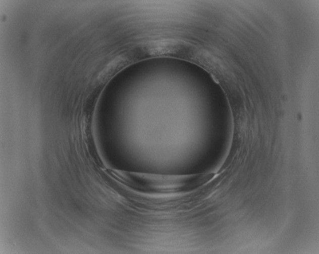 X0000074320219200609011546