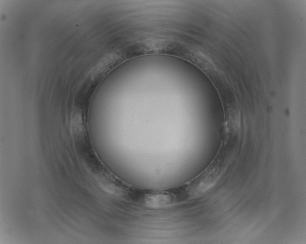 X0000074320220200609011546