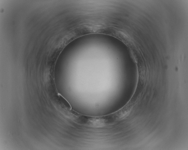 X0000074320221200609011546