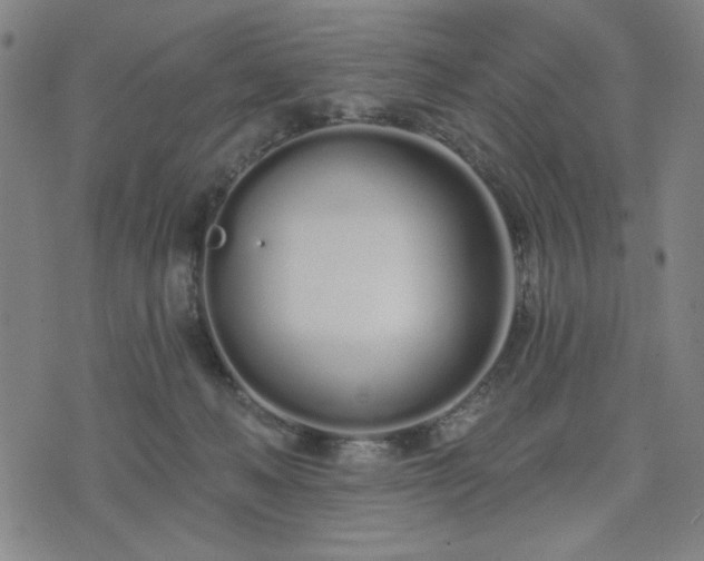 X0000074320222200609011546