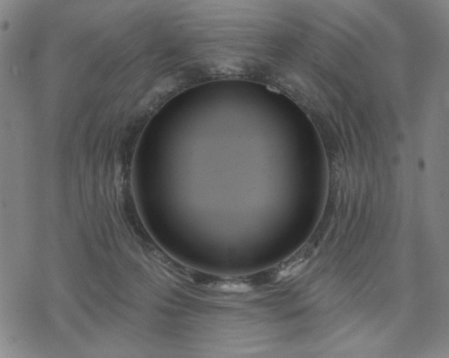 X0000074320223200609011546