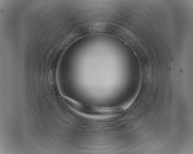 X0000074320224200609011545