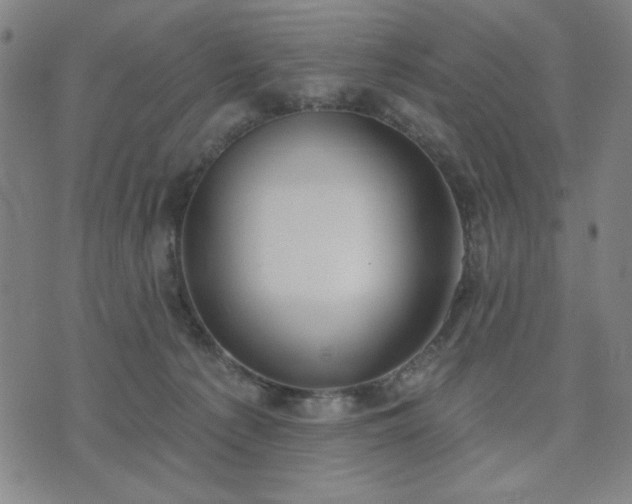 X0000074320225200609011545