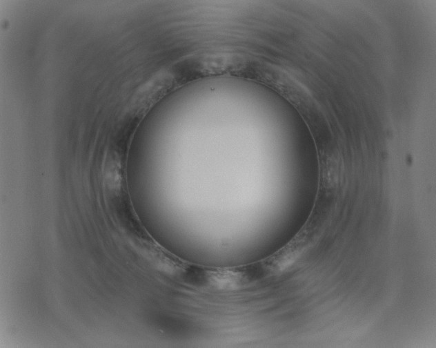 X0000074320226200609011545