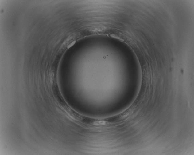 X0000074320227200609011545