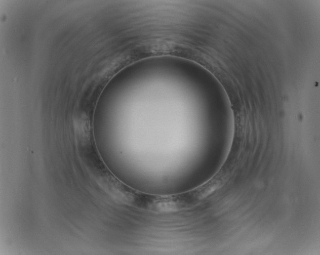 X0000074320228200609011545