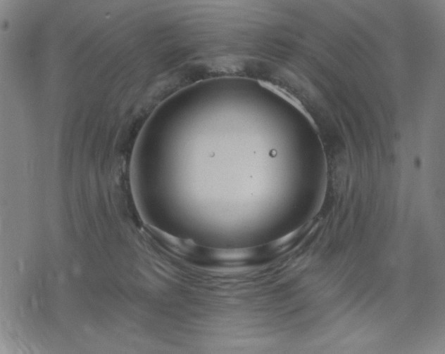 X0000074320229200609011545