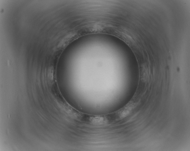 X0000074320230200609011545