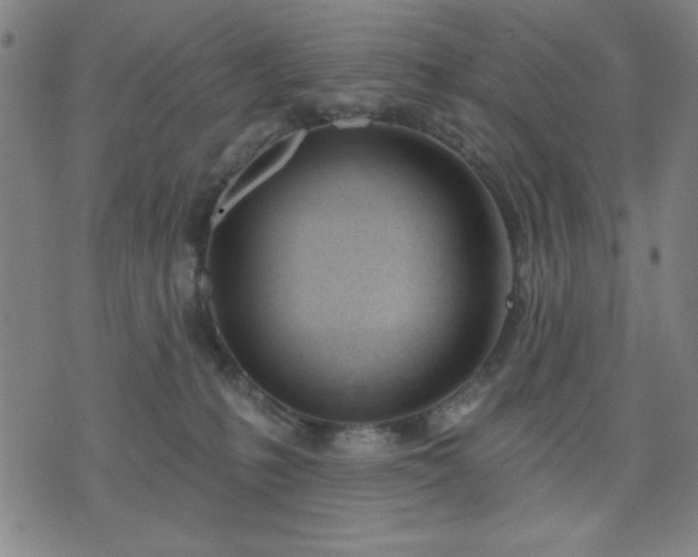 X0000074320231200609011545