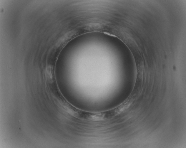 X0000074320232200609011545