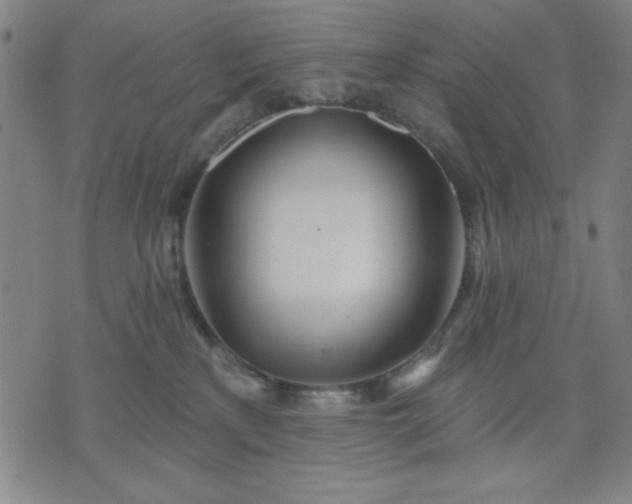 X0000074320233200609011545