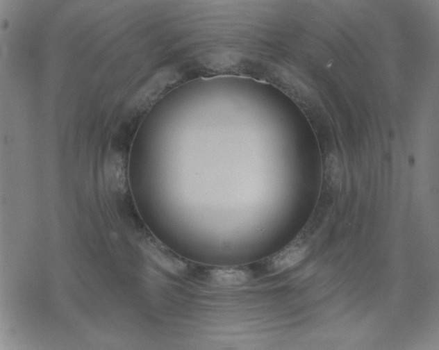 X0000074320234200609011545