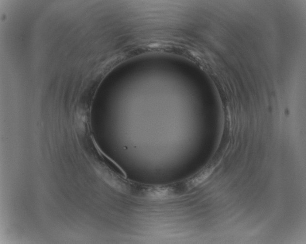 X0000074320235200609011545