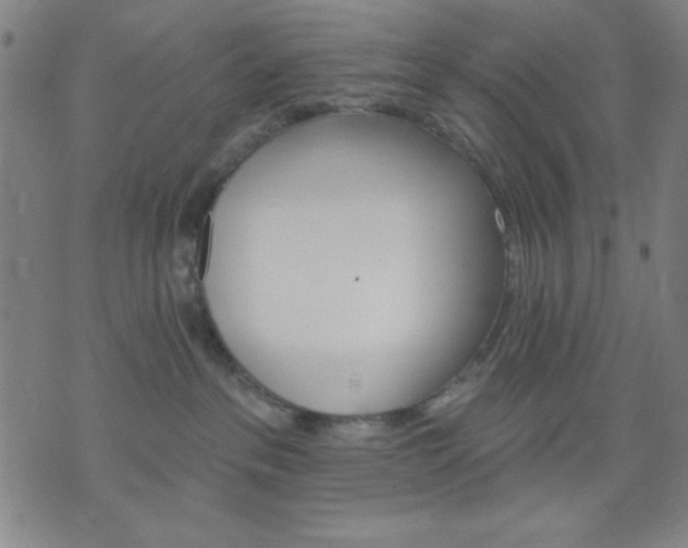 X0000074320237200609011545