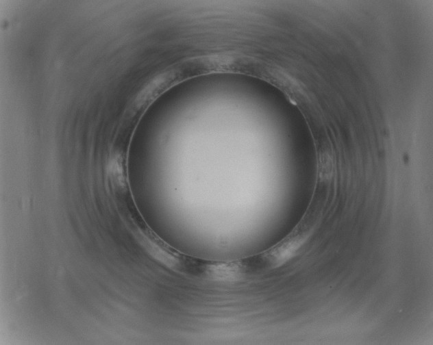 X0000074320238200609011545