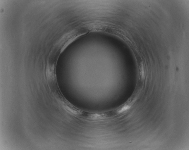 X0000074320239200609011545