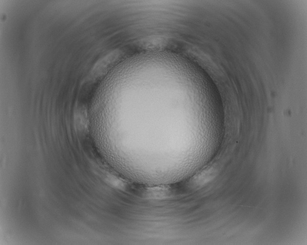 X0000074320240200609011545